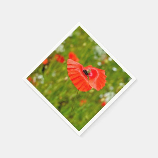 Serviette En Papier Closeup of poppies (Coin)