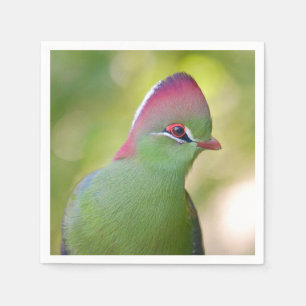 Serviette En Papier Closeup turaco de fischer