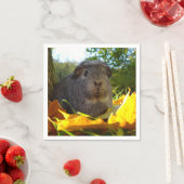 Serviette En Papier Cochon de Guinée mignonne en nature (En situation)