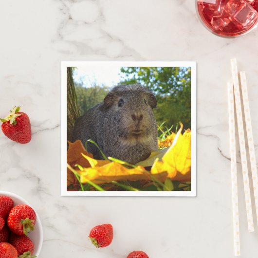 Serviette En Papier Cochon de Guinée mignonne en nature (En situation)