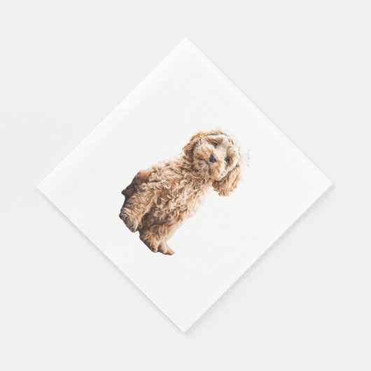 Serviette En Papier Cockapo Cavoodle Labradoodle mignon Chien Chien-Ch (Coin)