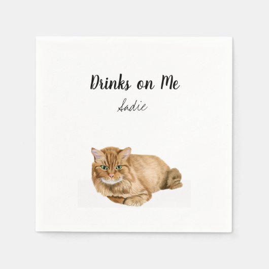 Serviette En Papier Cocktail de chats d'orange serviettes (Devant)