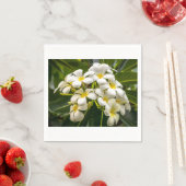 Serviette En Papier Cocktail Napkin sur l'île exotique de Plumeria (En situation)