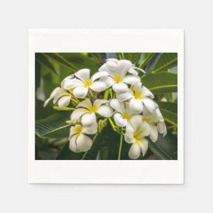 Serviette En Papier Cocktail Napkin sur l'île exotique de Plumeria