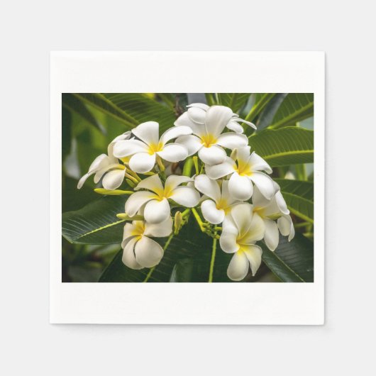 Serviette En Papier Cocktail Napkin sur l'île exotique de Plumeria (Devant)