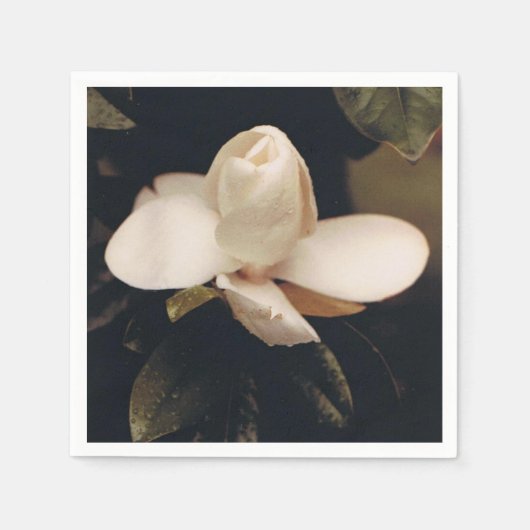 Serviette En Papier Cocktail serviettes avec un design Magnolia Blosso (Devant)
