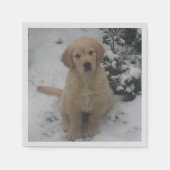 Serviette En Papier Cocktail serviettes - Festive Golden Retriever Pup (Devant)