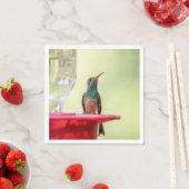 Serviette En Papier Colibri à ventre cassé au Texas (En situation)