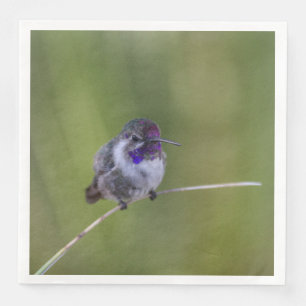 Serviette En Papier Colibri de Costa en août léger