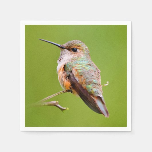 Serviette En Papier Colibri roux assis en Californie Lilac (Devant)