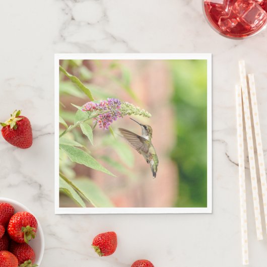Serviette En Papier Colibri sur un plante à fleurs (En situation)