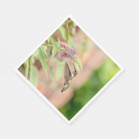 Serviette En Papier Colibri sur un plante à fleurs (Coin)