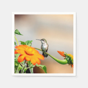 Serviette En Papier Colibri sur un plante à fleurs