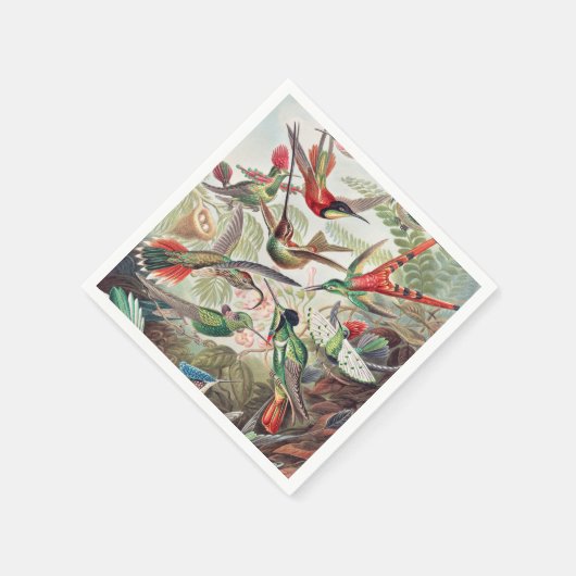Serviette En Papier Colibri, Trochilidae Kolibris par Ernst Haeckel (Coin)