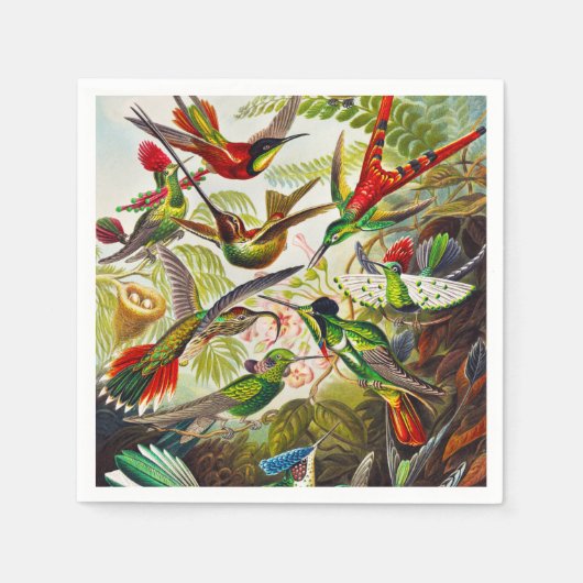 Serviette En Papier Colibri vintage par Ernst Haeckel (Devant)