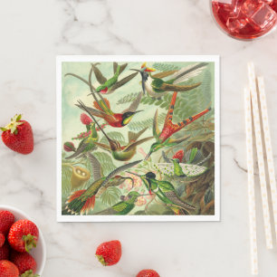 Serviette En Papier Colibris par Ernst Haeckel