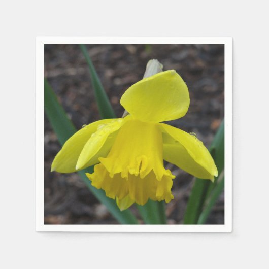 Serviette En Papier Collection Jardin Fleur 6 (Devant)