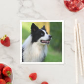 Serviette En Papier Collie Chien noir et blanc (En situation)