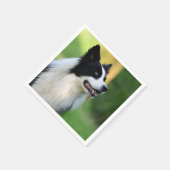 Serviette En Papier Collie Chien noir et blanc (Coin)