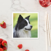 Serviette En Papier Collie Chien noir et blanc (En situation)