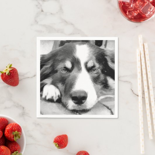 SERVIETTE EN PAPIER COLLIE FRONTALIÈRE (En situation)