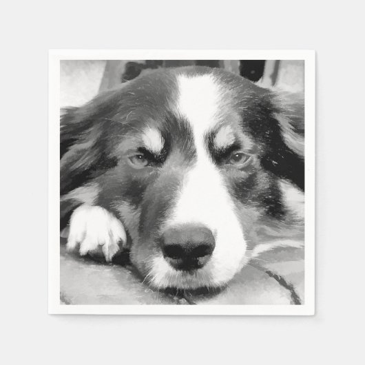 SERVIETTE EN PAPIER COLLIE FRONTALIÈRE (Devant)