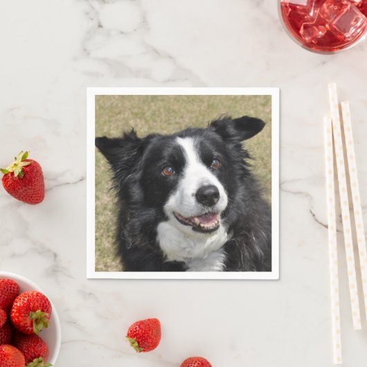 Serviette En Papier Collier frontalier (En situation)