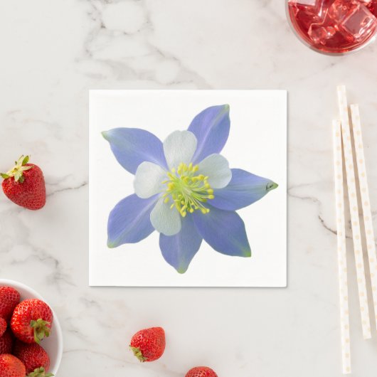 Serviette En Papier Colonne 2 (En situation)