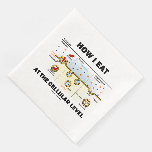 Serviette En Papier Comment Je Mange Au Niveau Cellulaire Endocytose (Coin)