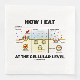 Serviette En Papier Comment Je Mange Au Niveau Cellulaire Endocytose