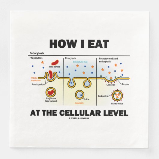 Serviette En Papier Comment Je Mange Au Niveau Cellulaire Endocytose (Devant)