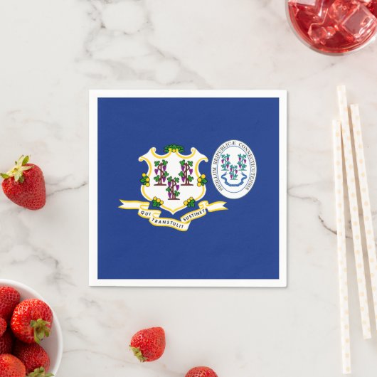 Serviette En Papier Connecticuter Flag & Seal, Connecticut (En situation)