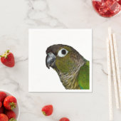 Serviette En Papier Conure verte à mâcher (En situation)