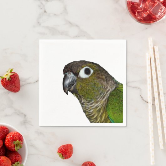 Serviette En Papier Conure verte à mâcher (En situation)