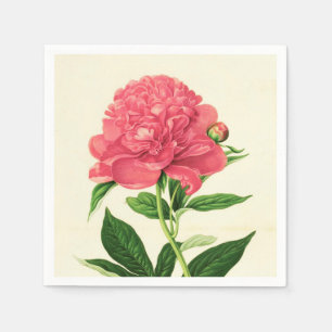 Serviette En Papier Copie botanique vintage, pivoine rose de corail
