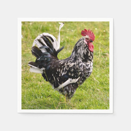 Serviette En Papier Coq et poule sur herbe (Devant)
