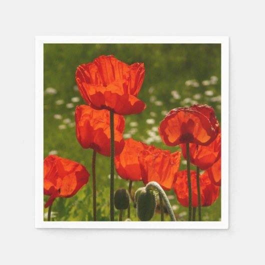 Serviette En Papier Coquelicots éclatants (Devant)