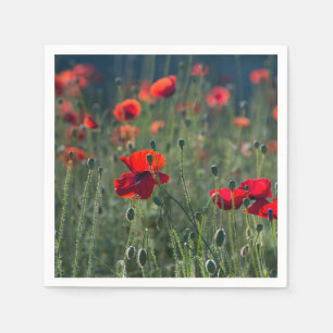 Serviette En Papier Coquelicots jolis dans une prairie sauvage Photo