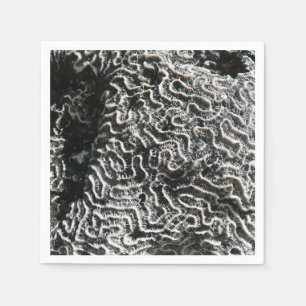 Serviette En Papier Corail noir et blanc I Photo de nature abstraite