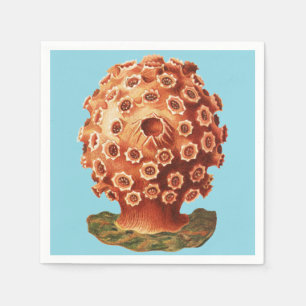Serviette En Papier Corail Rouge de Ernst Haeckel Vie Naútíque Marine