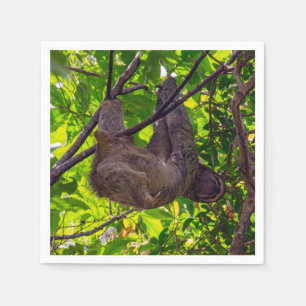Serviette En Papier Costa Rica - Happy Lazy Sloth, Antonio Manuel NP