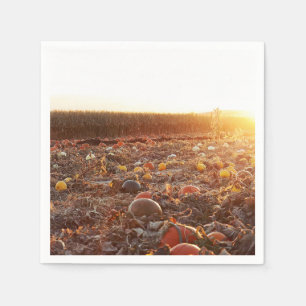 Serviette En Papier Coucher de soleil au champ de citrouilles