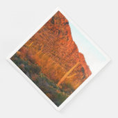 Serviette En Papier Coucher de soleil du parc national du Saguaro (Coin)