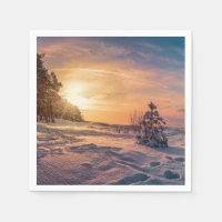 Coucher de soleil sur la côte de la mer d'hiver