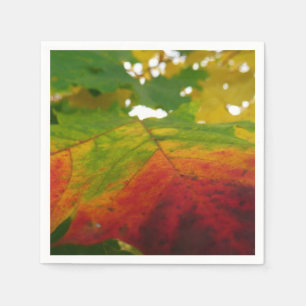 Serviette En Papier Couleurs de la feuille d'érable Photographie de la