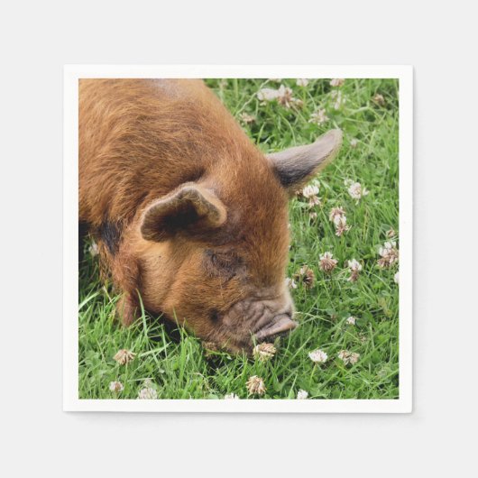 SERVIETTE EN PAPIER COUPER (Devant)