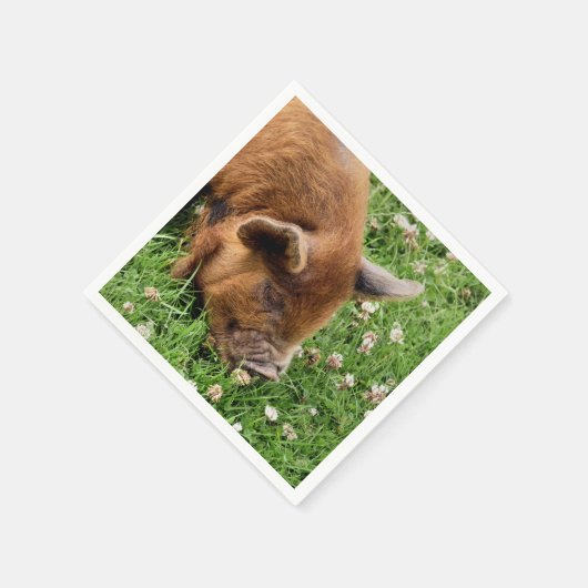 SERVIETTE EN PAPIER COUPER (Coin)