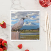 SERVIETTE EN PAPIER COURRIER ET SHASTA (En situation)