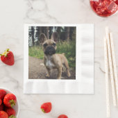 Serviette En Papier Coussin de lancer Bouledogue Français (En situation)