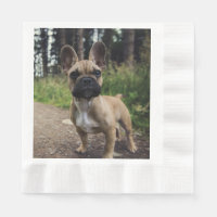 Coussin de lancer Bouledogue Français